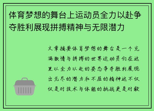 体育梦想的舞台上运动员全力以赴争夺胜利展现拼搏精神与无限潜力
